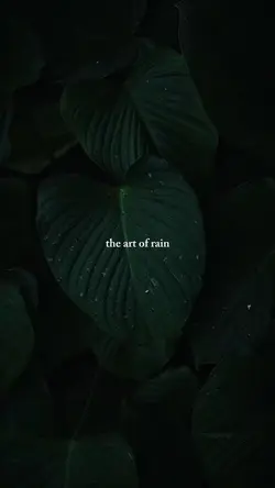 The art of rain