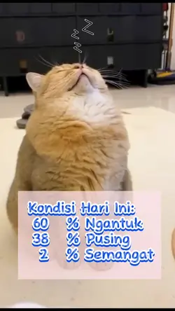kondisi hari ini