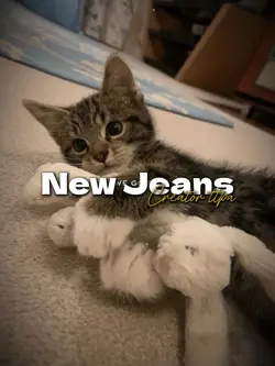 new jeans
