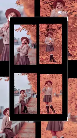 collage in motion