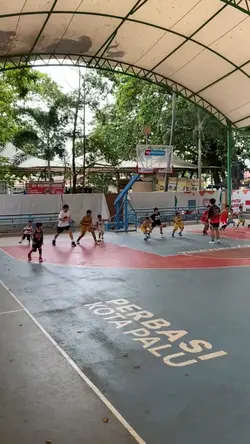 Training basketball