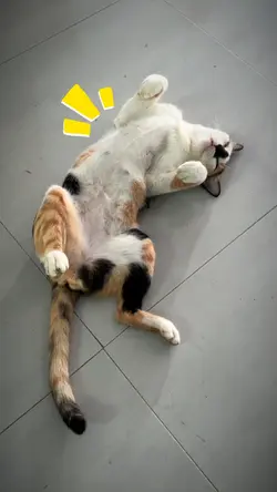 หลับหรือไม่หลับเนี่ย