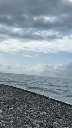 salına salına 