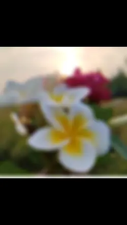 ভালোবাসা 