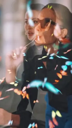 Butterfly Effect