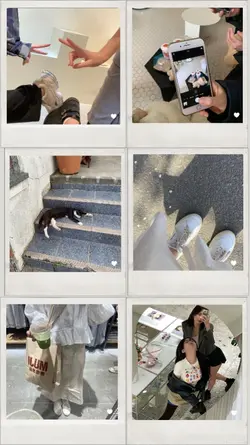 6 pics