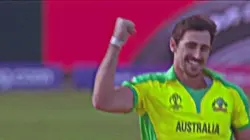 Cricket template 