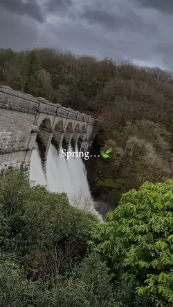 Cinematic Spring