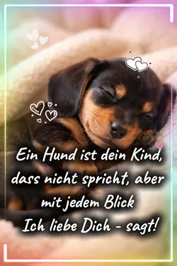 Ein Hund 