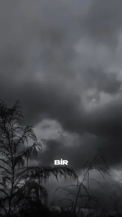 Bu Akşam 