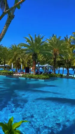 10 videos or photos 