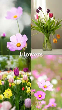 Flowers