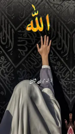 تیری شان شان  