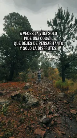 Frases 