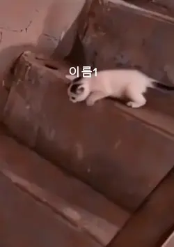 병맛도 슬쩍..