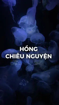 2 ảnh nhẹ nhàng 