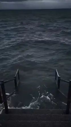 meme sea