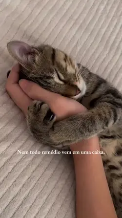 Eles curam 