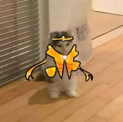 Ñam