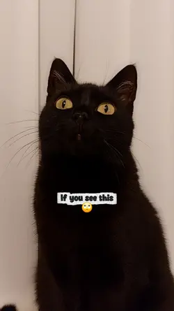 If u see this...