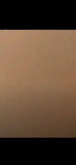 🥺🇵🇸