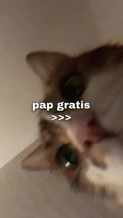 Pap Gratis >>>