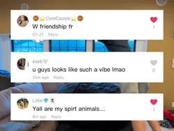Spirit animals