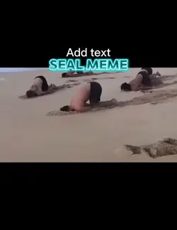 Seal meme