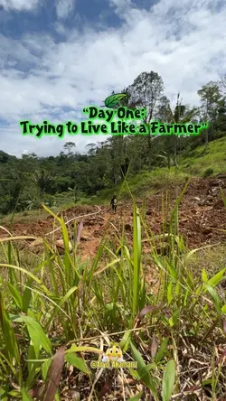 Farmer