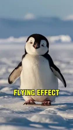 FLYING EFFECT 