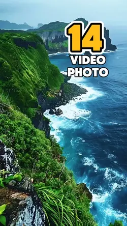 14 video or photo 