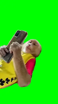 monkey looking HP
