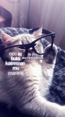 versi no miror