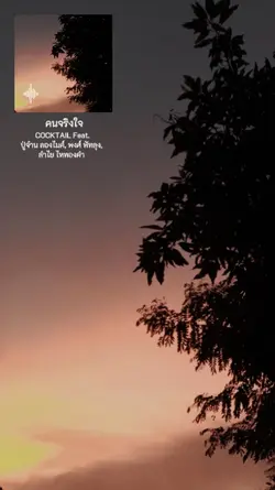 คนจริงใจ