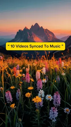 10 Videos Music