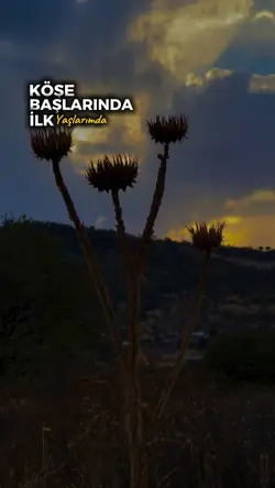 Yeni Şablon 
