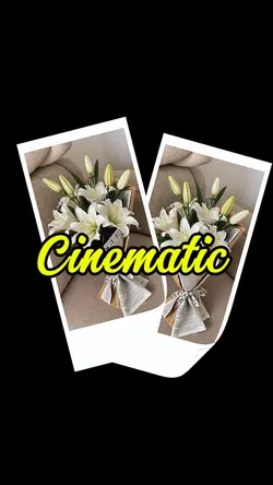 CINEMATIC 