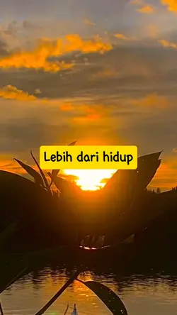 Lebih dari hidup