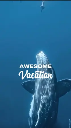 Awesome Vacation