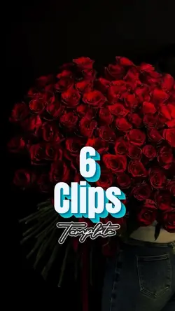Use 6 clips