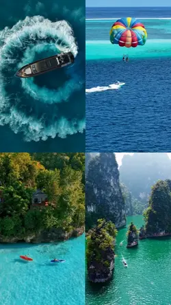 4 grid videos