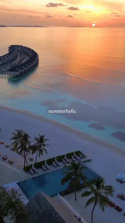 summer holic