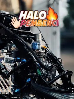 haloo pembencii