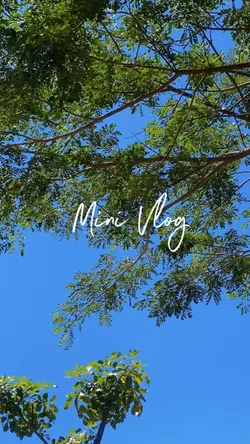 Mini Vlog Aesthetic