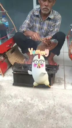Sate Ayam