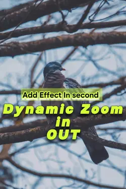Dynamic Zoom in out