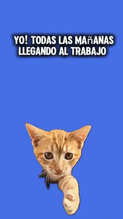 Gato grosero 