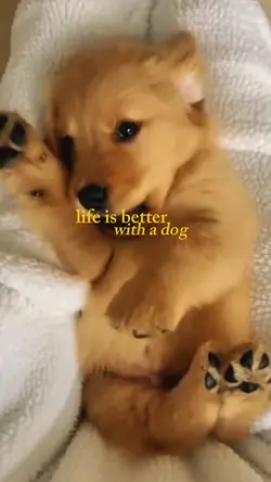 life is better