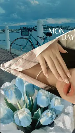 Day in a Life