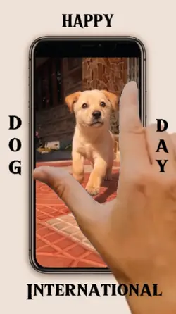 Dog Day